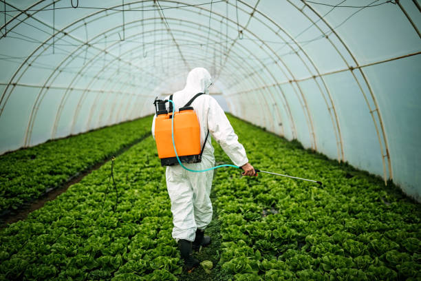 Best Affordable Pest Control Services  in Hays, NC