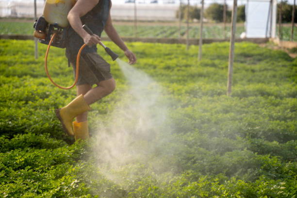Best Affordable Exterminators  in Hays, NC