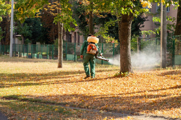 Best Mosquito Control Services  in Hays, NC
