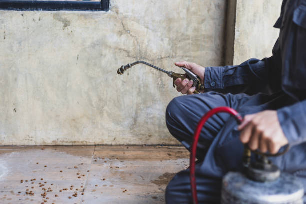Best Pest Inspection Near Me  in Hays, NC